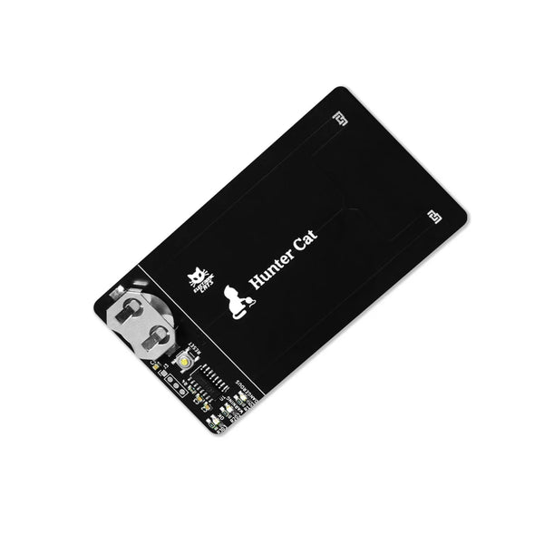 Hunter Cat - Skimmer Detector